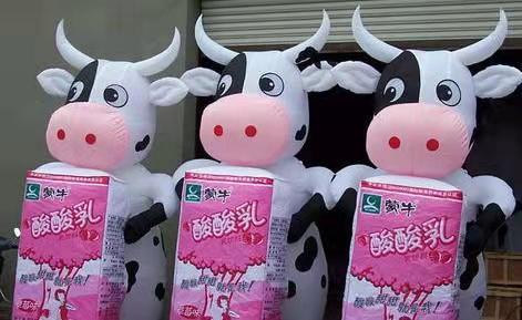 谯城牛奶厂广告气模